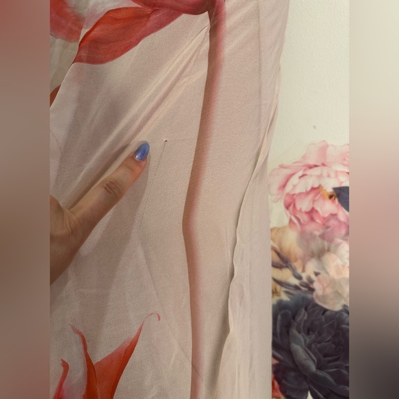 Like new Musier Paris Avina Dress in Nude With Rose Print pink floral maxi - Picture 14 of 14